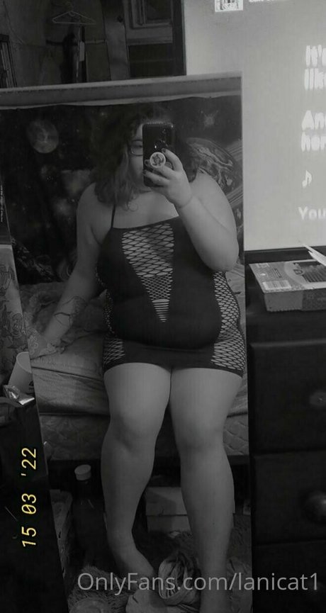 lanicat1 estrella hermosa foto