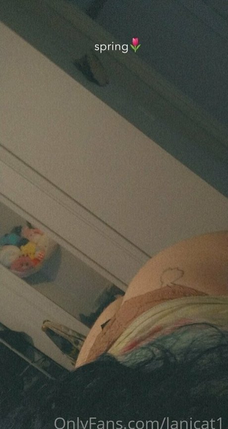 lanicat1 estrella del arte imágenes