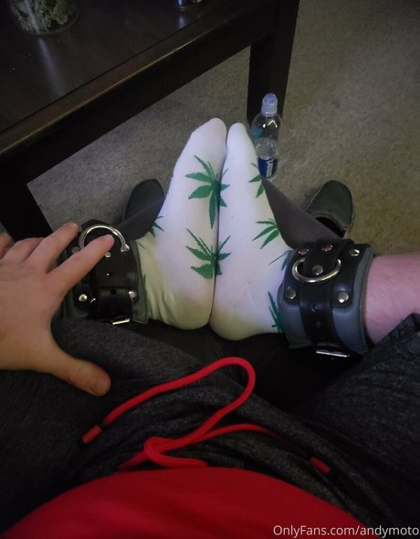 andymoto étoile de l'art galeries