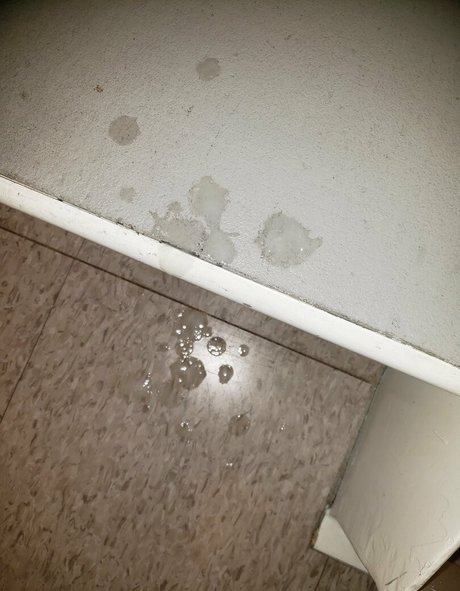 andymoto modelo bonita galerías