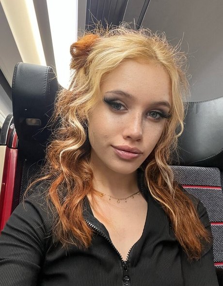 Seckooh estrella libre imagen