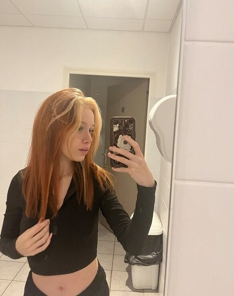 Seckooh estrella atractiva galería