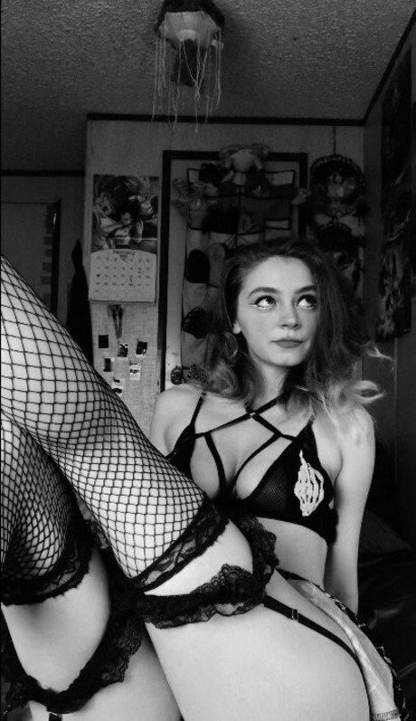 cheycheytaylor star du porno parfaite collection