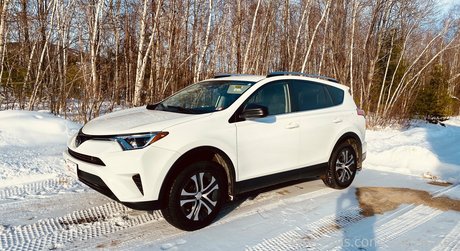 pashavixen estrella superior imagen