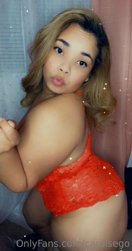 cardisego modelo hd archivo