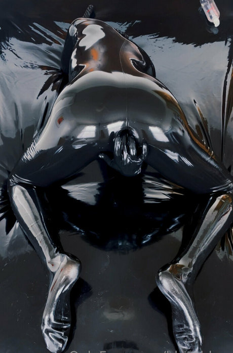 blgrubber top model archive