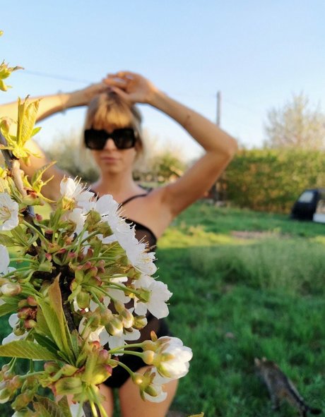 Ocicat hermosa modelo recopilación