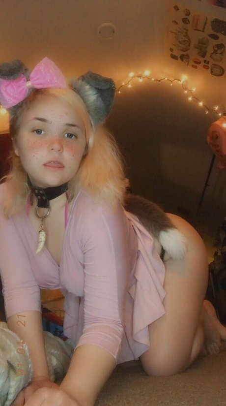 pwuppydove estrella perfecta foto