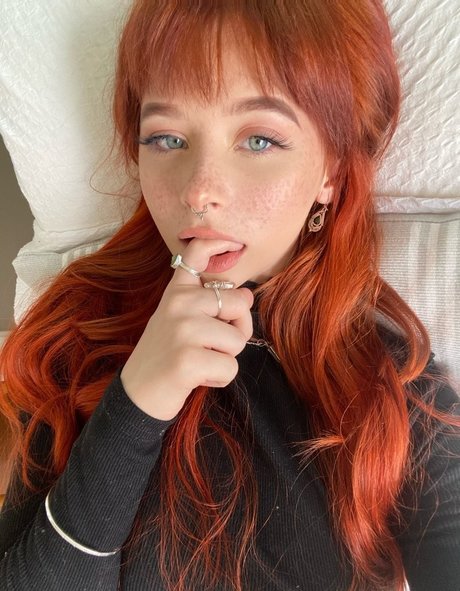 CherryApricots estrella hermosa imágenes