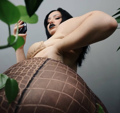 Anjadee linda estrella archivo