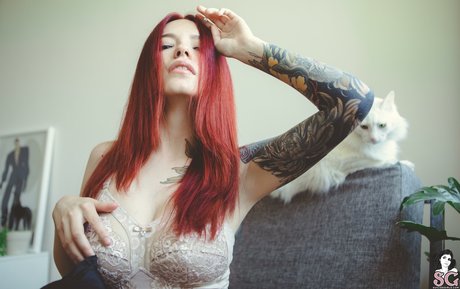 Cvrmillv étoile exclusive img