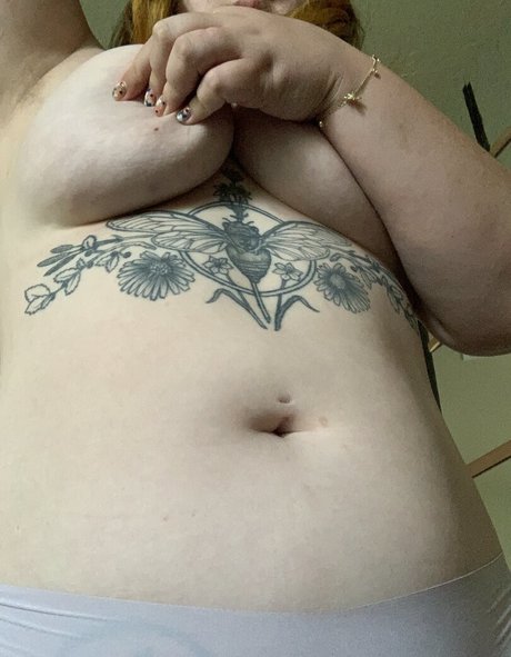 carnationkatie estrella agradable galería