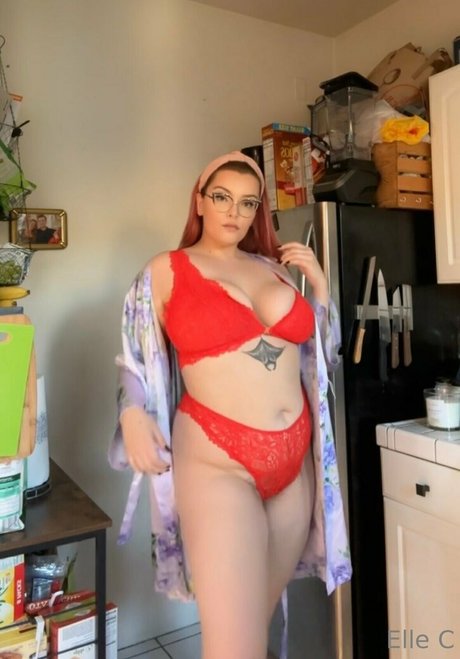 ellecroc actrice parfaite collection