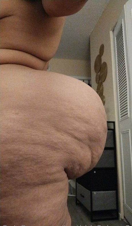 iputbbls2sham3 arte estelar recopilación