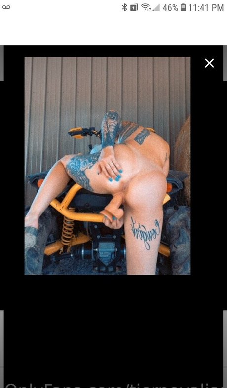 Barrel racer71 art modèle image