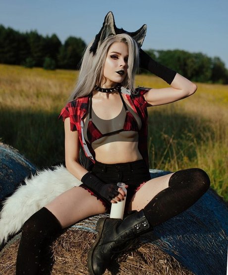 Yugoroforge Imagen de perfil