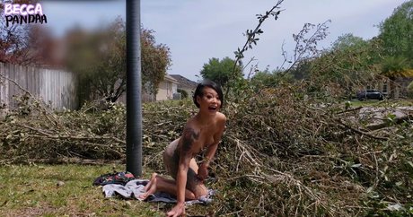 AsianKoreanGirl estrella atractiva galerías