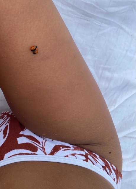 Michelaraeupton modèle nu image