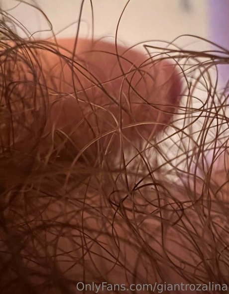 giantrozalina étoile chaude des photos