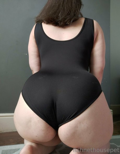 fishnethousepet étoile magnifique photo