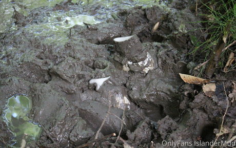 islandermud actrice de sexe archive