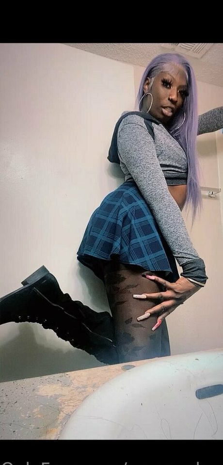 amazonbaycardi hermosa estrella galería