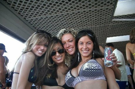 Amanda Wenk art de star du porno archive