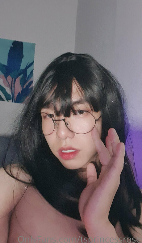 TSprincessRose star pornographique collection