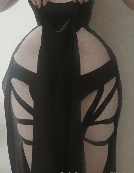 Soft kittn arte estelar recopilación