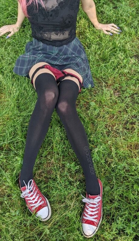 acenat0r estrella agradable galería