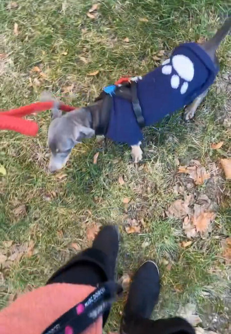 real tiffany actriz perfecta fotos