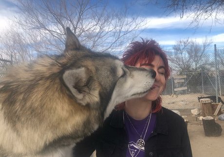 DanikaXIX estrella hd galerías