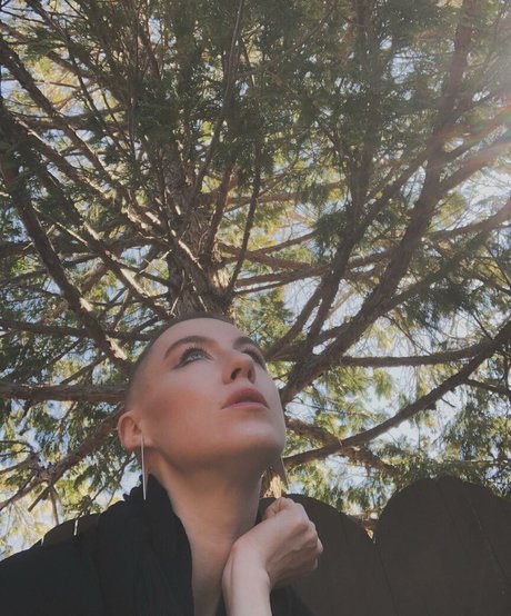 DanikaXIX exclusive star picture