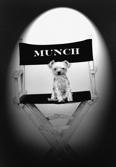 stormydaniels haut étoile image