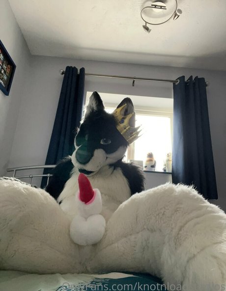 knotnloadstudios star du porno belle archive