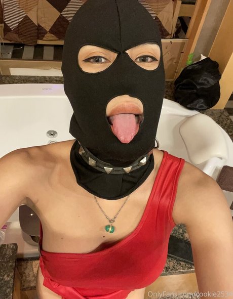 cookie2534 estrella perfecta galería