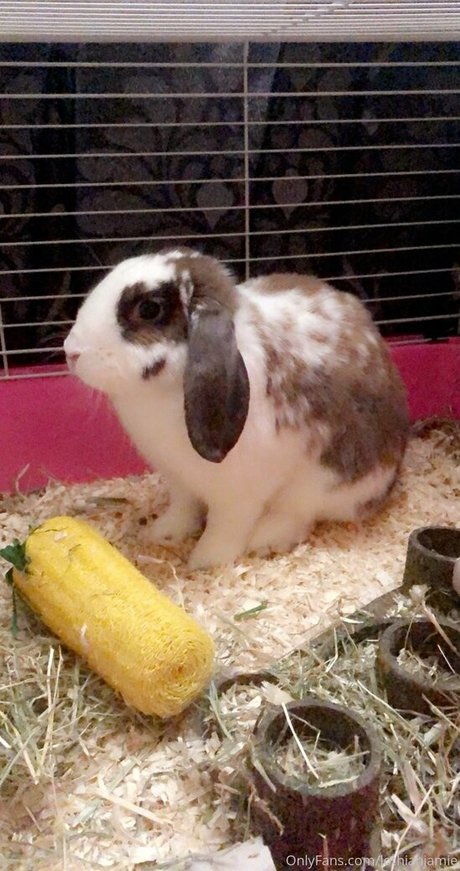 lothianjamie actrice nue archive