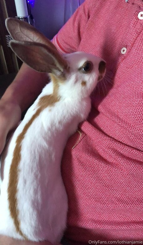 lothianjamie modelo pornografico recopilación