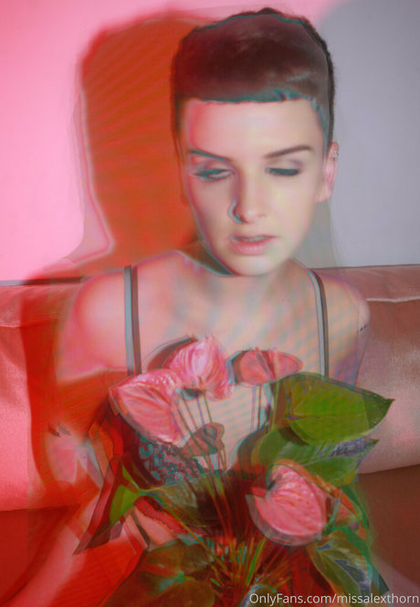 missalexthorn star du porno en haute qualité photos