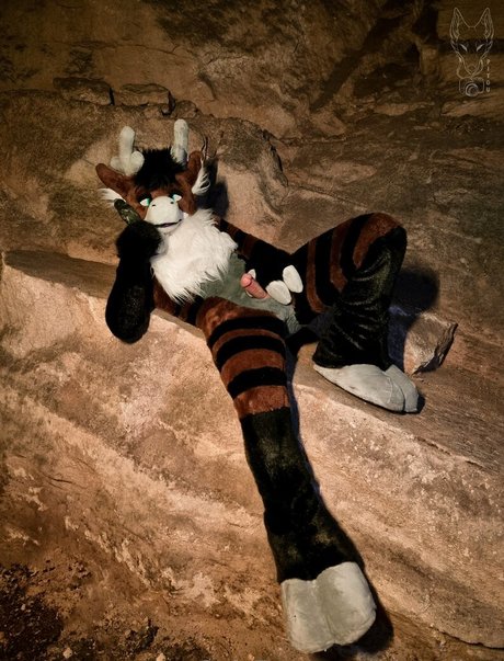 pitourikou modelo bonita imágenes