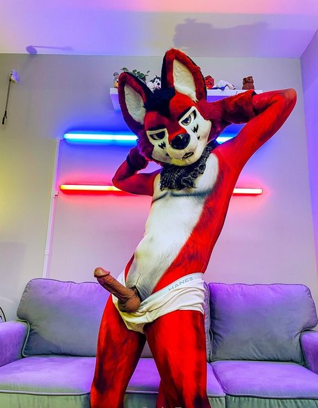 wolf ezo star du porno nue image