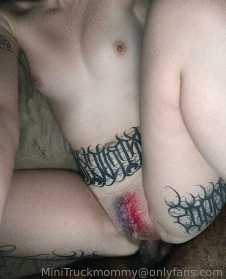 MiniTruckMommy top star collection