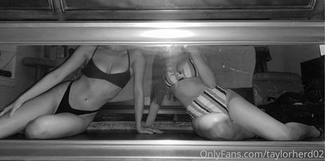 taylorherd02 model high quality image