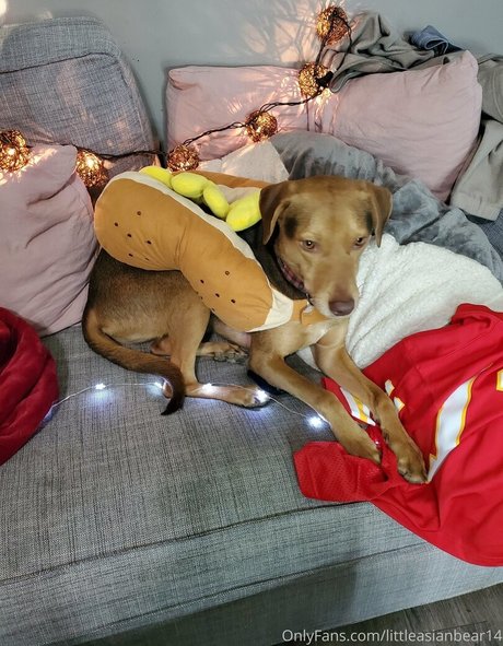 JuicyPinaypple sexo estrella porno fotos