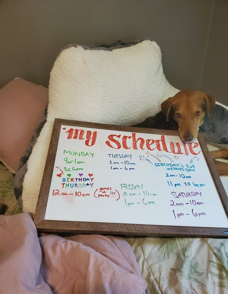 JuicyPinaypple estrella porno galerías