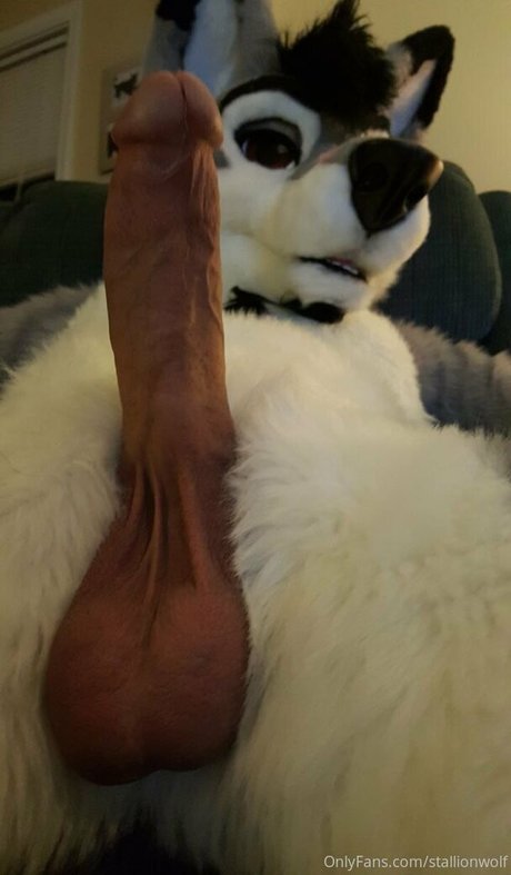 stallionwolf estrella desnuda galerías