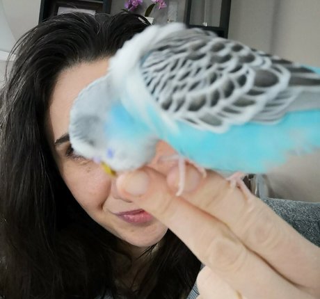 giantessmason estrella porno hermosa galerías