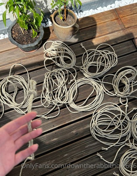 downtherabbithole666 estrella caliente archivo