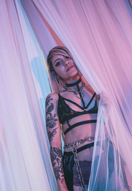 diamondgirlsny star pornographique collection