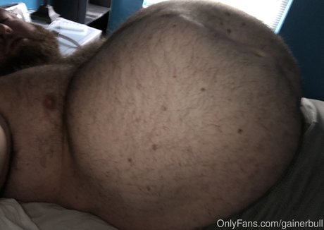 gainerbull modèle archive